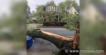 Storms leave trail of felled trees, power outages across Maryland - CBS Baltimore