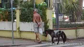 Turista a spasso col pony avvistato a Cervia - ravennanotizie.it