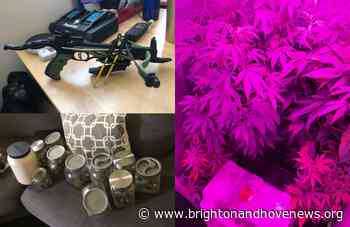 Crossbow seized at Coldean cannabis farm during pre-Pride drugs raids - Brighton and Hove News