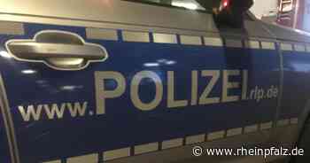 Polizeieinsätze beim Residenzfest - Kirchheimbolanden - DIE RHEINPFALZ - Rheinpfalz.de