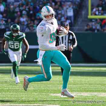 Fins place TE Shaheen on IR after voided trade