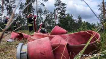 Feuerwehr Celle verhindert Waldbrand in letzter Minute - NDR.de