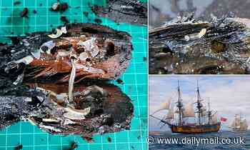 Shipwreck off Rhode Island believed to be Captain Cook's HMS Endeavour is being eaen by SHIPWORMS