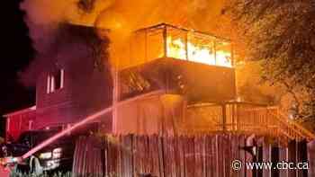 2 dogs die; 9 cats survive in 2 Saskatoon house fires