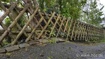Drogen im Keller „vergessen“?: Mann aus Dissen greift mit 2,3 Promille erst Zaun, dann Polizisten an - NOZ