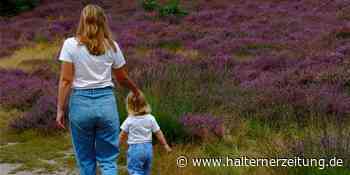 Wir suchen die schönsten Bilder aus der Westruper Heide in - Halterner Zeitung