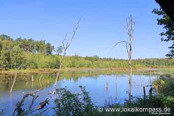 Entstanden durch Bergsenkungen im Jahre 2001: Der Weihnachtssee im Naturschutzgebiet Kirchheller Heide in Bottrop. - Bottrop - www.lokalkompass.de