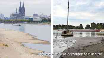 NRW: Rhein nähert sich Rekord-Tief – Pegel bei Emmerich auf Null