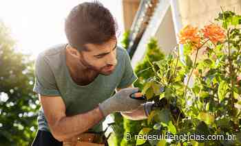 Prefeitura de Turvo oferece curso de jardinagem de graça pelo Senar - Portal RSN