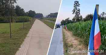 Staphorster boeren balen van vlaggendief: 'We zijn bang dat hij steeds brutaler wordt' - De Stentor