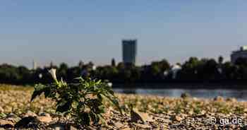 Schmelzende Gletscher​: Einfluss der Schweizer Alpen auf den Pegel des Rheins​ - General-Anzeiger Bonn