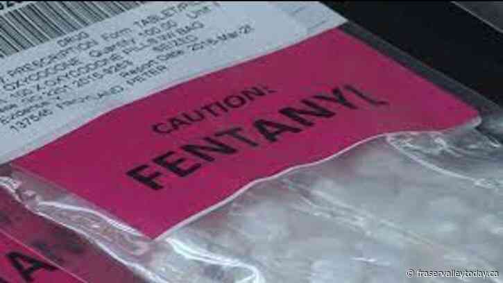 Over ten thousand lives lost in B.C. to toxic drugs since public health emergency declared