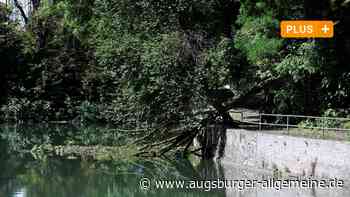 Ursache steht fest: Darum stürzte der Baum an der Kahnfahrt um