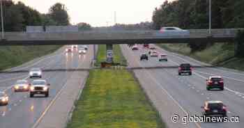 Hamilton steps up messaging to combat distracted driving amid rising collisions