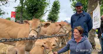 Jaarmarktfestival valt deze keer niet op maandag! | Wemmel | hln.be - Het Laatste Nieuws