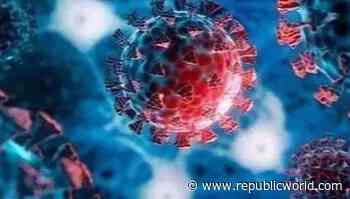 Mumbai reports 332 new coronavirus cases, 2 deaths; active tally at 5,071 - Republic World