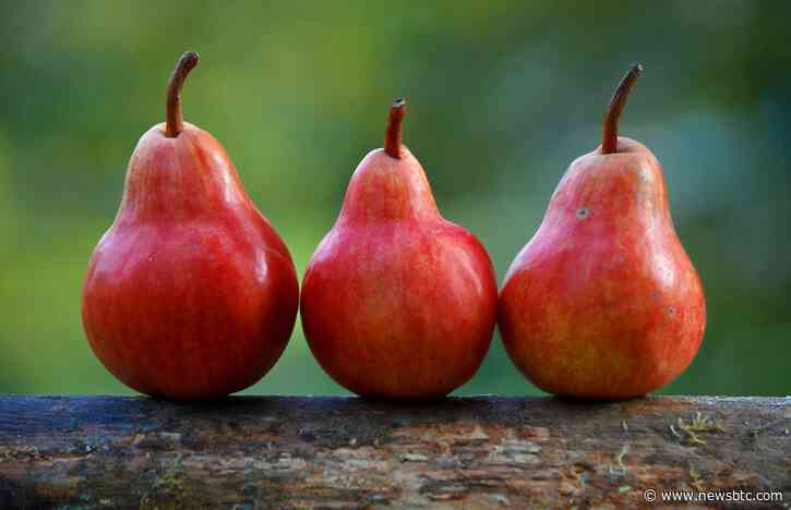 3 Best New Crypto Pairs Launching on DEXs This Week & Month