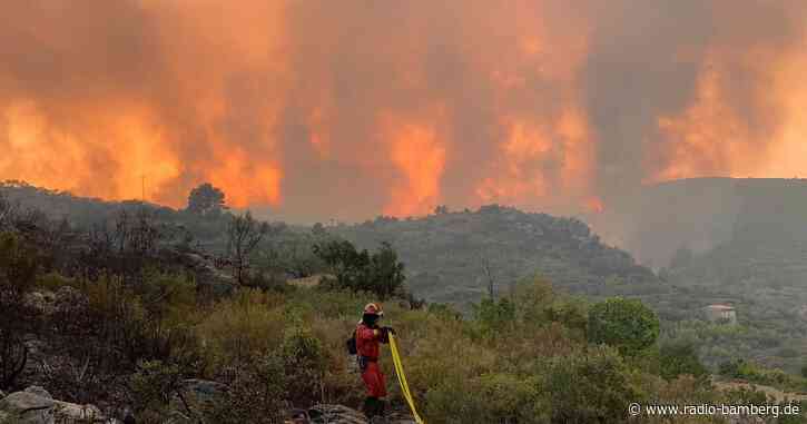 Waldbrand an der Costa Blanca breitet sich aus