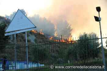 Crotone, incendio lambisce il Parco Pitagora: «Attacco mirato» - Corriere della Calabria