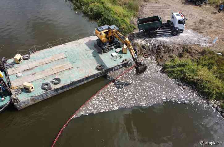 Oder vergiftet mit Chemie-Abfällen? Was wir über die Umweltkatastrophe wissen - Utopia