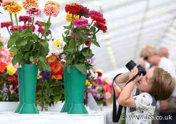 It's not just about the flowers - everything you need to know about Southport Flower Show - Lancashire Evening Post