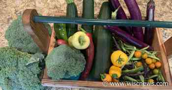 GARDENER COLUMN: August garden care | Home & Garden | wiscnews.com - WiscNews