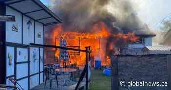 9 cats rescued from Saskatoon fire