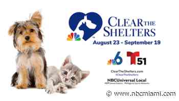 Clear the Shelters: Here is a Full List of Participating Shelters Across South Florida