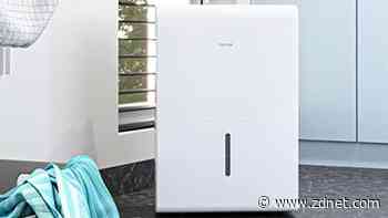The 5 best dehumidifiers of 2022