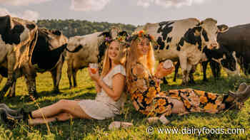 Painterland Sisters Organic Skyr Yogurt announces nationwide retail launch of Icelandic-style organic yogurt