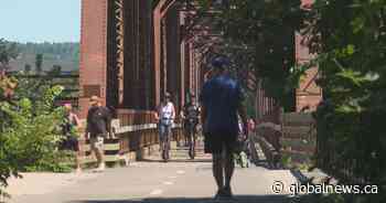 E-scooters a popular attraction in Fredericton as city considers bylaw - New Brunswick | Globalnews.ca - Global News