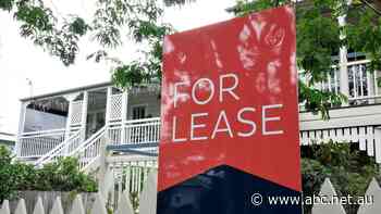 Tourism leader calls for regulation on short-stay properties as housing crisis worsens