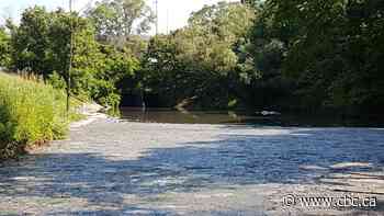 Chedoke Creek dredging operation to begin on Wednesday