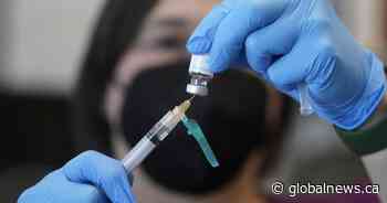 Source of monkeypox case in N.B. still unknown, vaccine supply limited