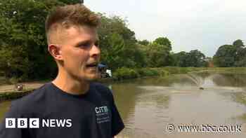 Abbey Fields volunteers unite in bid to save fish