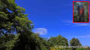 Essen: Mann macht erschreckende Entdeckung in Wald und handelt sofort - DER WESTEN