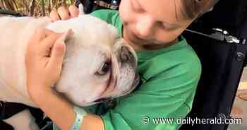 'Grueling aftermath': Cooper's family posts update on 'very long and hard road' ahead