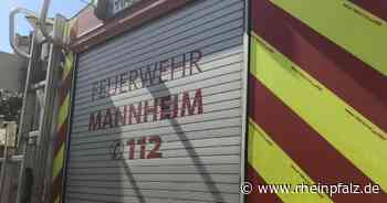 Brand im Industriegebiet Rheinau - Mannheim - DIE RHEINPFALZ - Rheinpfalz.de