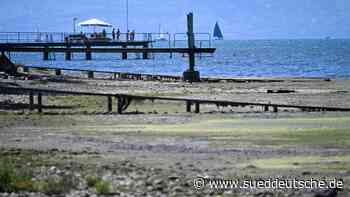 Schifffahrt - Mannheim - Niedrigwasser: Reduzierte Produktion nicht ausgeschlossen - Wirtschaft - SZ.de - Süddeutsche Zeitung - SZ.de