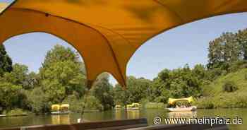 Modernisierung des Luisenparks geht voran - Mannheim - DIE RHEINPFALZ - Rheinpfalz.de