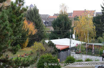 Was Bürger zum Erhalt alter Bäume in Mannheim-Neckarau beitragen können - Mannheim: Neckarau - Nachrichten und Informationen - Mannheimer Morgen