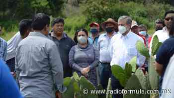 Productores de Nopal de Cuernavaca ¿Cómo los apoyará el Ayuntamiento? - Radio Fórmula