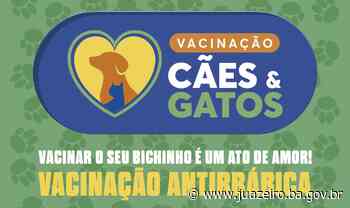 Prefeitura de Juazeiro divulga cronograma de vacinação antirrábica desta semana - Prefeitura de Juazeiro (.gov)