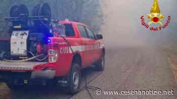 Vigili del Fuoco da Cesena e squadre boschive per spegnere incendio a Civitella di Romagna - cesenanotizie.net