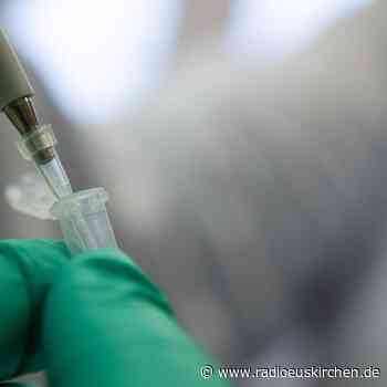 Großbritannien lässt ersten Doppelimpfstoff gegen Corona zu - radioeuskirchen.de