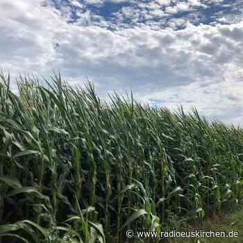 Landwirte demonstrieren in Bonn - radioeuskirchen.de