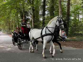 Van ijskar tot lijkwagen: Koetsenparade trekt door Brugge - Focus en WTV