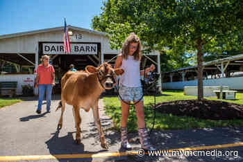 Photos: Agriculture at the Fair - Montgomery Community Media