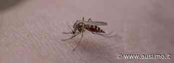 Regione e Comuni serrano le file nella lotta contro le zanzare - AUSL Modena