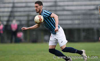 Calciomercato Sampdoria: il Modena non molla Azzi. Le novità - Samp News 24